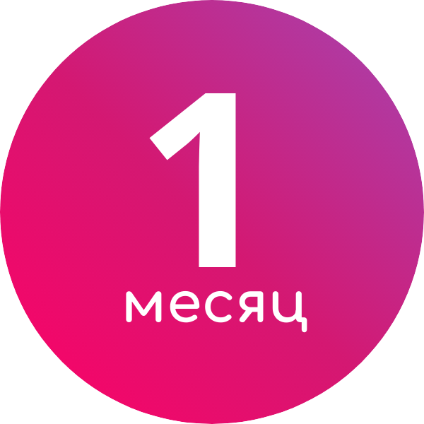 1 месяц